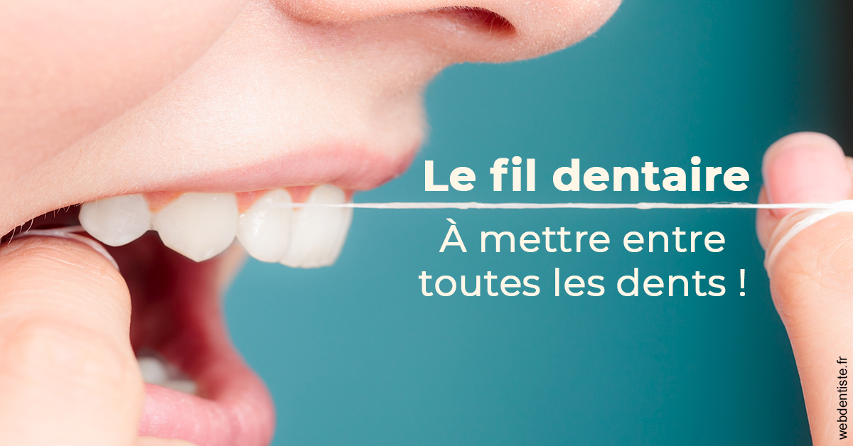 https://dr-leonard-vincent.chirurgiens-dentistes.fr/Le fil dentaire 2