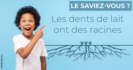 https://dr-leonard-vincent.chirurgiens-dentistes.fr/Les dents de lait 2