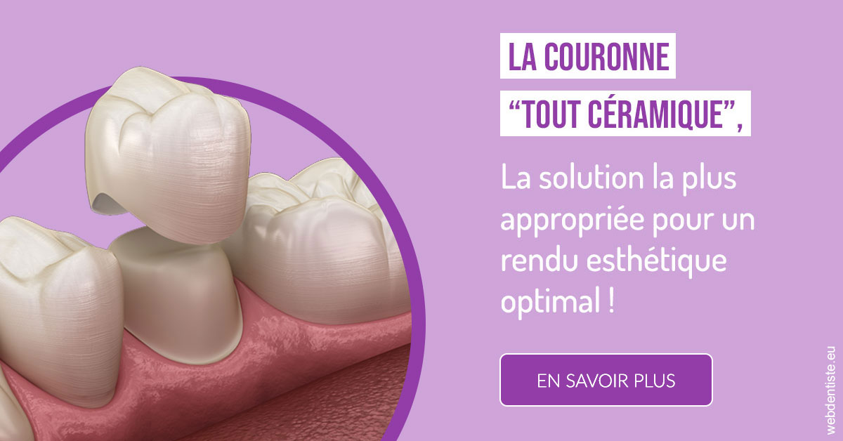 https://dr-leonard-vincent.chirurgiens-dentistes.fr/La couronne "tout céramique" 2