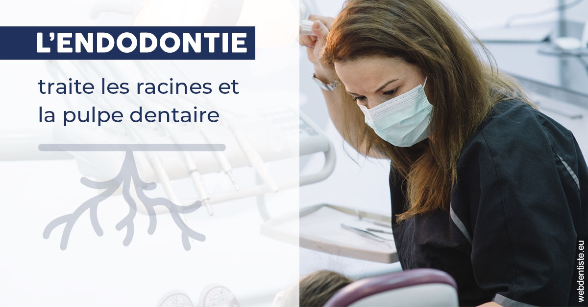 https://dr-leonard-vincent.chirurgiens-dentistes.fr/L'endodontie 1