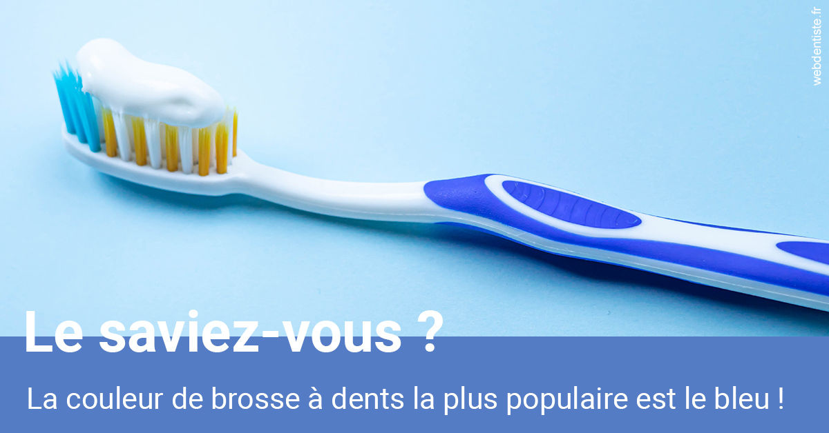 https://dr-leonard-vincent.chirurgiens-dentistes.fr/Couleur de brosse à dents