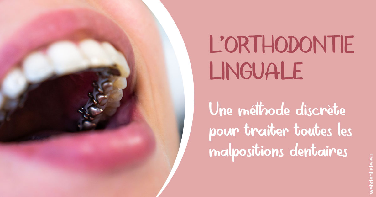 https://dr-leonard-vincent.chirurgiens-dentistes.fr/L'orthodontie linguale 2