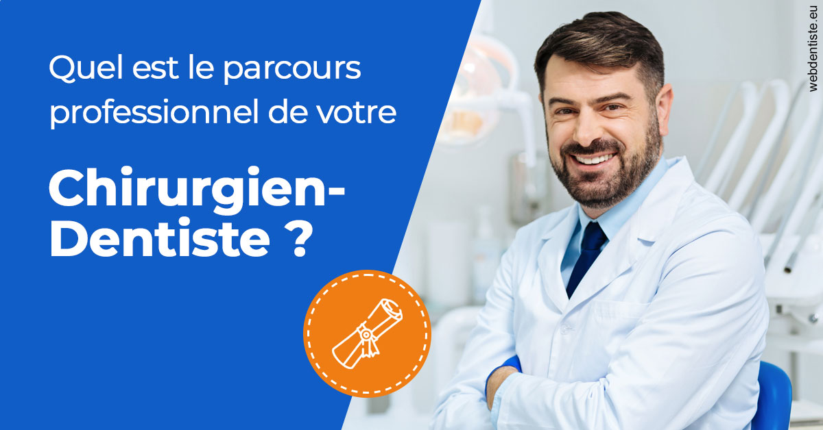 https://dr-leonard-vincent.chirurgiens-dentistes.fr/Parcours Chirurgien Dentiste 1