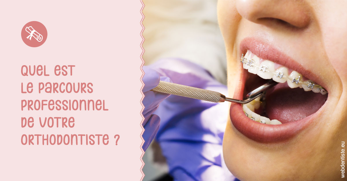 https://dr-leonard-vincent.chirurgiens-dentistes.fr/Parcours professionnel ortho 1