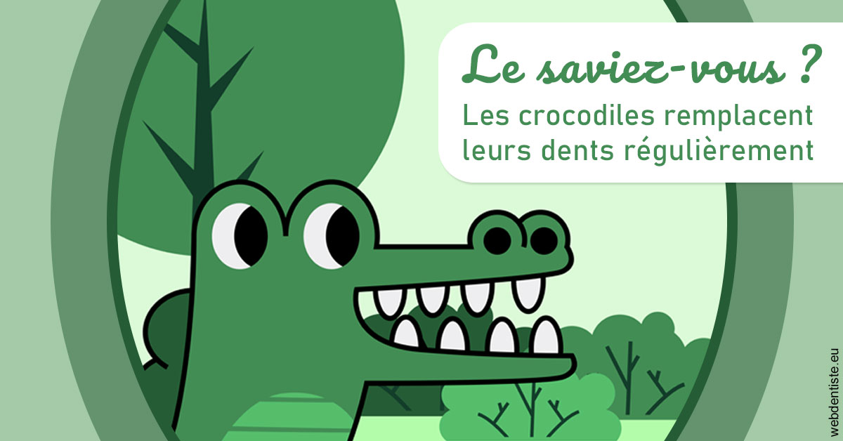 https://dr-leonard-vincent.chirurgiens-dentistes.fr/Crocodiles 2