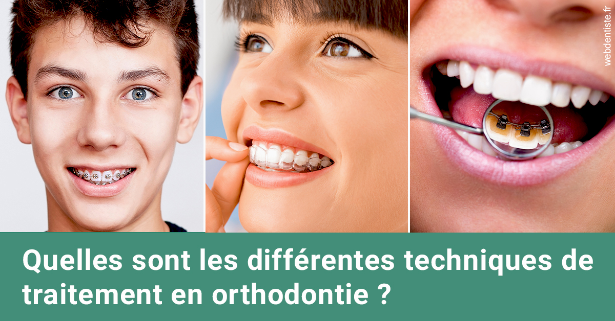 https://dr-leonard-vincent.chirurgiens-dentistes.fr/Les différentes techniques de traitement 2