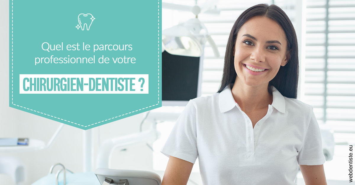 https://dr-leonard-vincent.chirurgiens-dentistes.fr/Parcours Chirurgien Dentiste 2